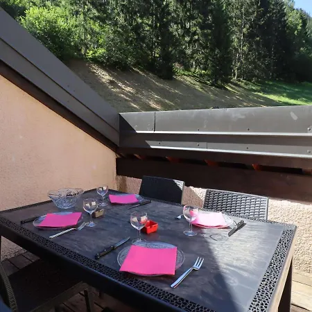 Duplex Lumineux 4-6 Pers Avec Balcon Sud, Bien Equipe, Proche Pistes Et Commerces, Refait A Neuf, Calme - Fr-1-342-216 Apartment *
